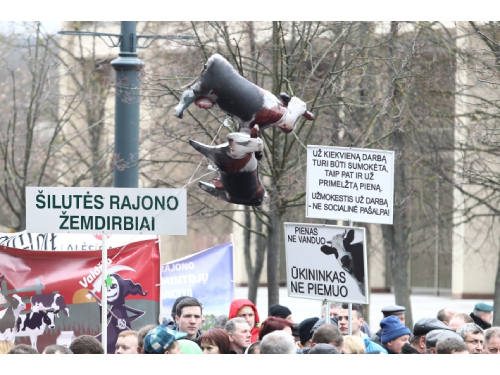 Pieno ūkininkai prie Seimo rengia protestą, reikalaus K. Navicko atsistatydinimo